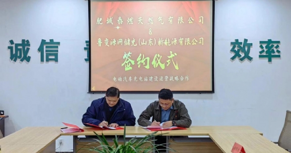 最权威的菠菜导航网