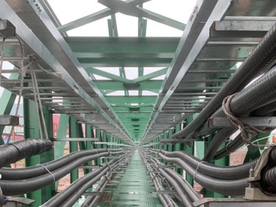 伟德国际体育在线