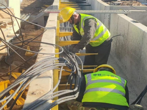 伟德国际体育在线