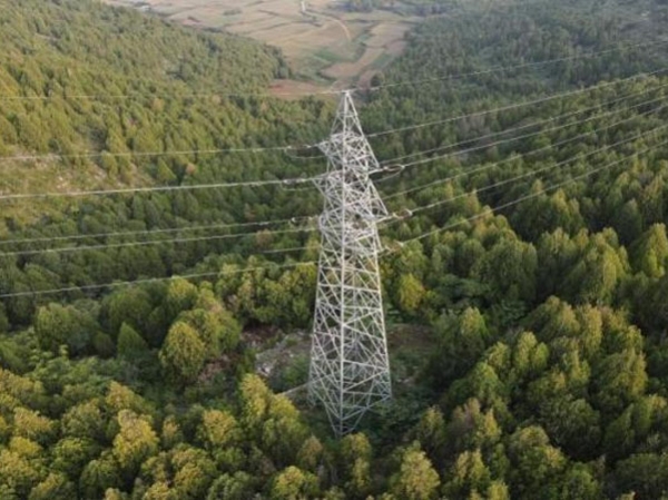 伟德国际体育在线