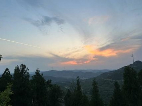 伟德国际体育在线